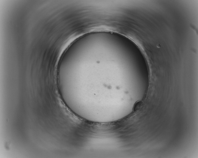 X0000102361008200808081126