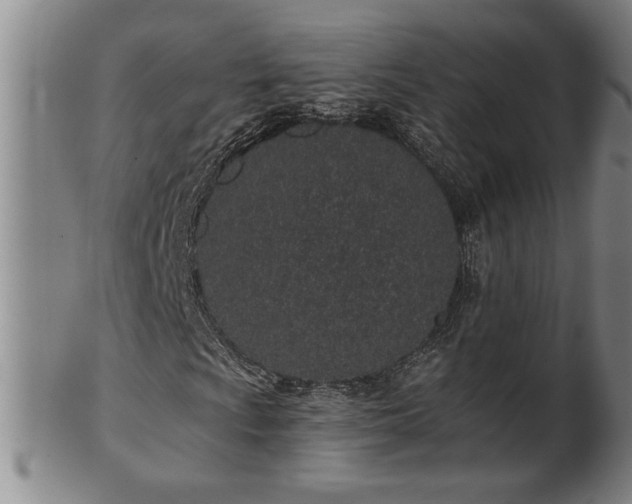 X0000102361009200808081125