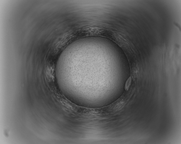 X0000102361010200808081125