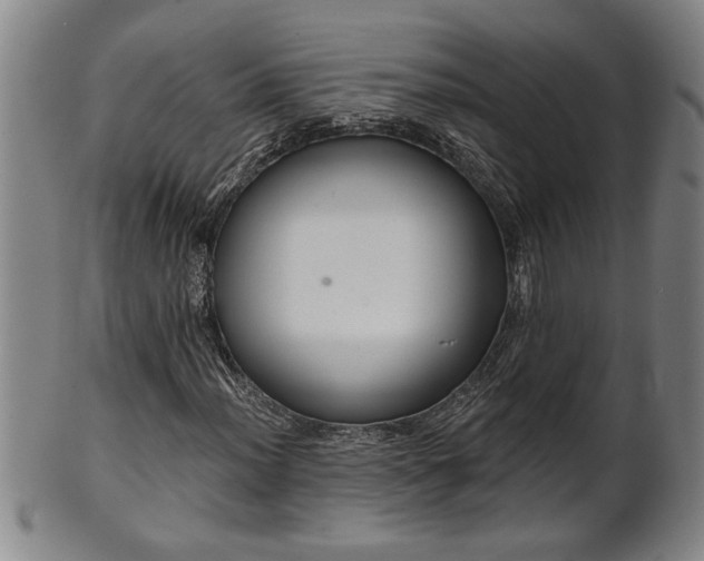 X0000102361012200808081125