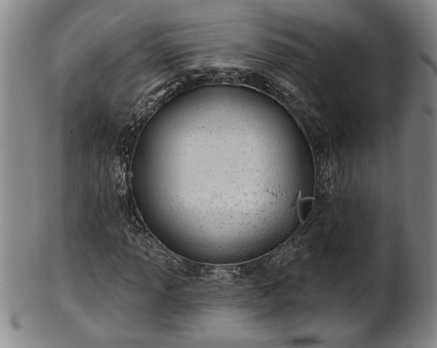 X0000102361013200808081125