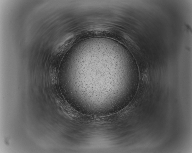 X0000102361014200808081125