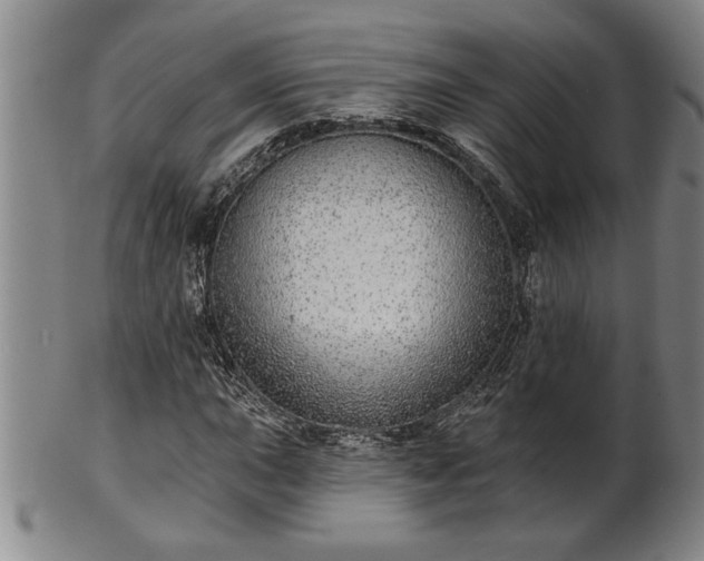 X0000102361015200808081125