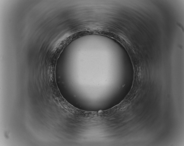 X0000102361016200808081125