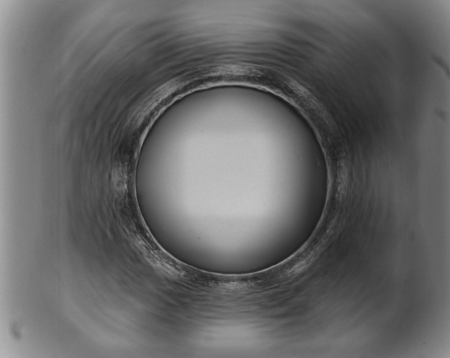 X0000102361017200808081125