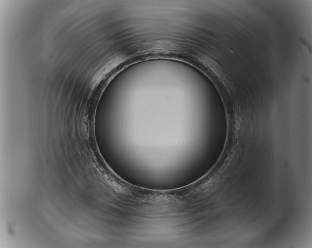 X0000102361018200808081126