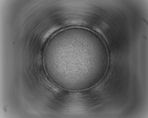 X0000102361019200808081126