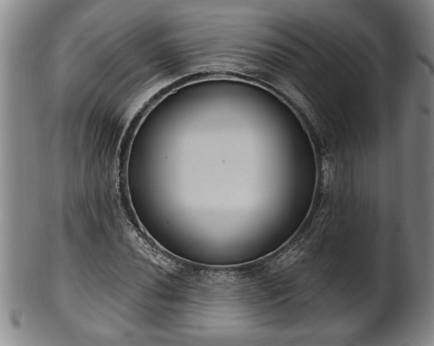 X0000102361020200808081126