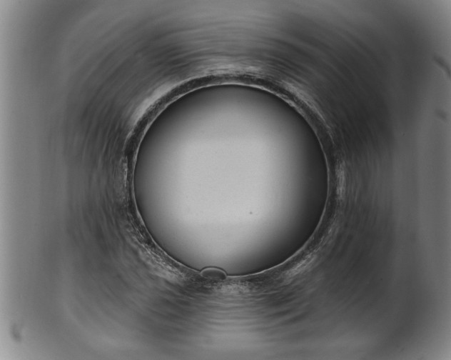 X0000102361021200808081126