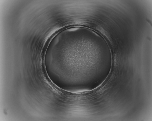 X0000102361024200808081126