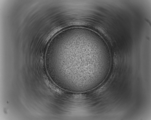 X0000102361025200808081126