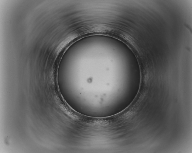 X0000102361026200808081126