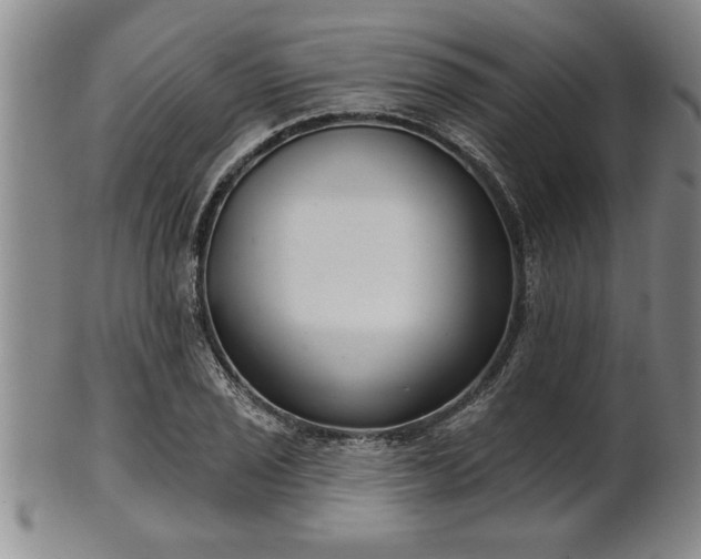 X0000102361029200808081126