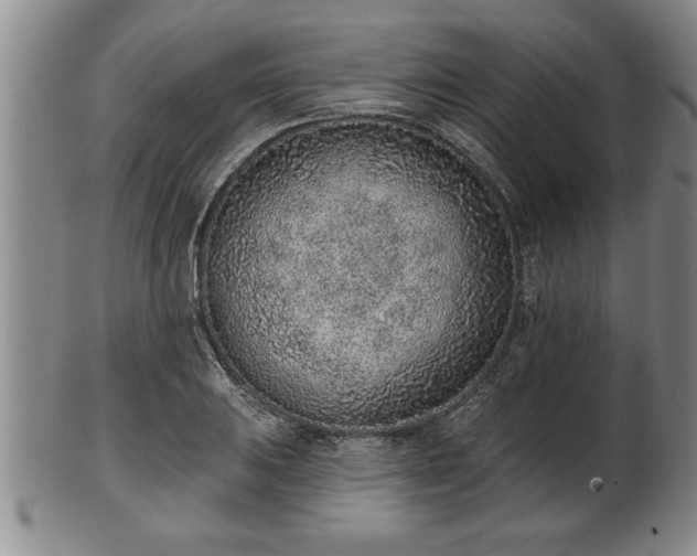 X0000102361031200808081126