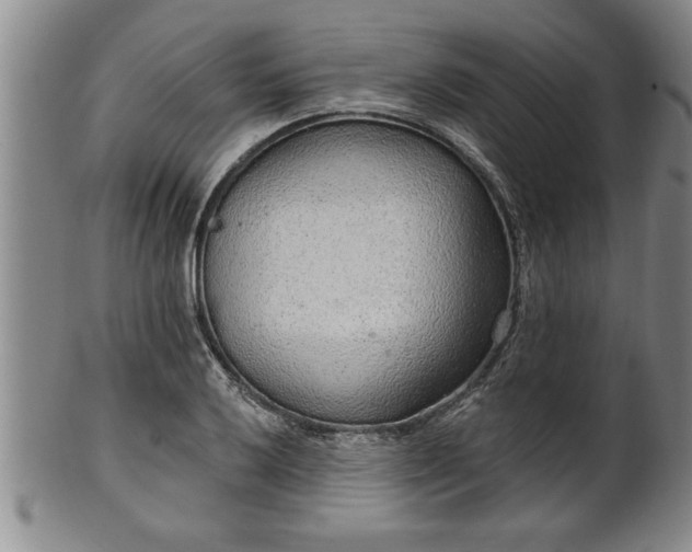 X0000102361032200808081126