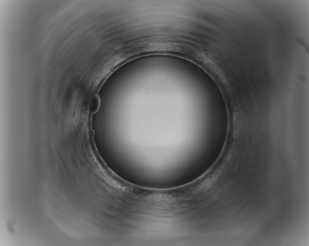 X0000102361033200808081126