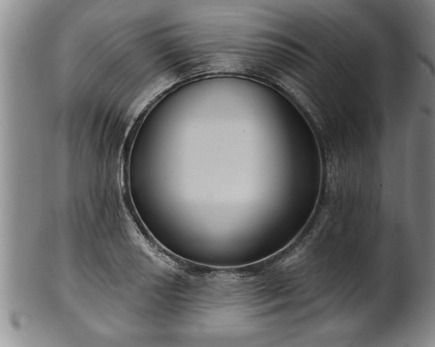 X0000102361034200808081126