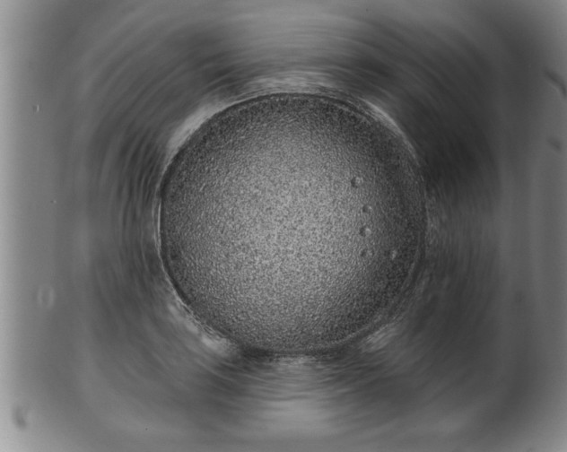 X0000102361035200808081126