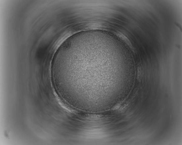 X0000102361039200808081126