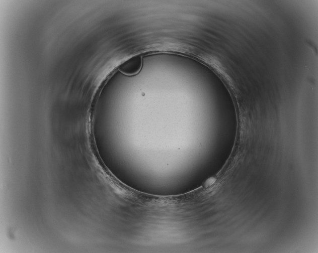 X0000102361040200808081126