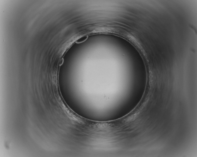 X0000102361041200808081126