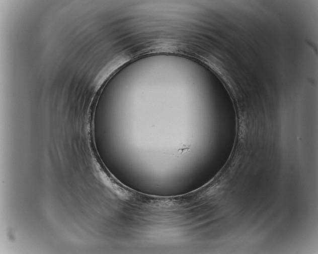 X0000102361042200808081126