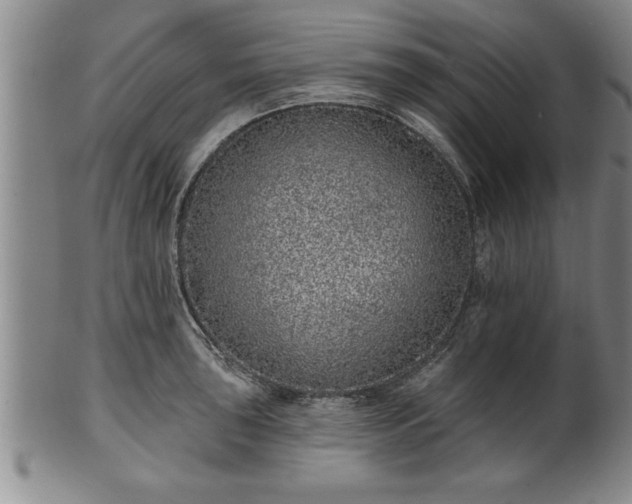 X0000102361043200808081126