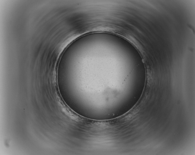 X0000102361044200808081126
