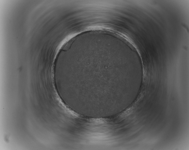 X0000102361045200808081126