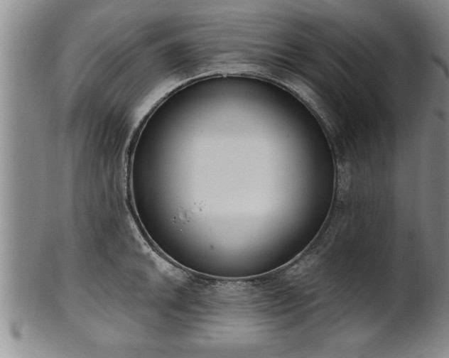 X0000102361046200808081126