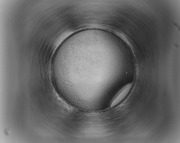 X0000102361048200808081126