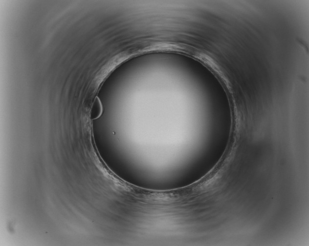 X0000102361049200808081126