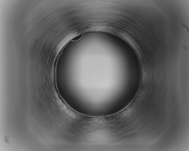 X0000102361050200808081126