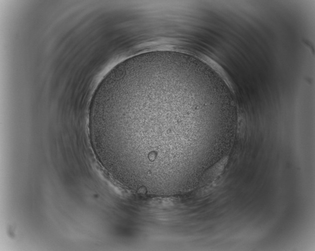 X0000102361051200808081126