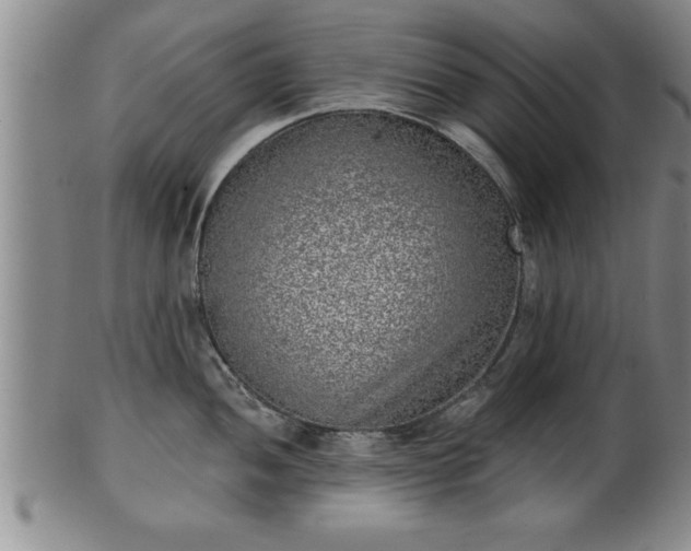 X0000102361052200808081126
