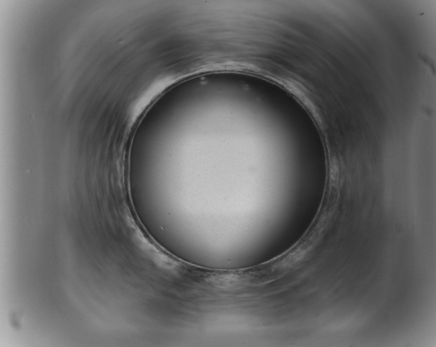 X0000102361054200808081126