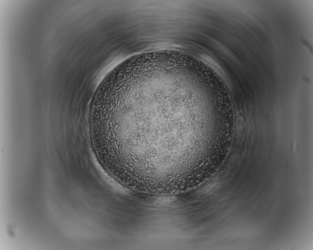 X0000102361055200808081126