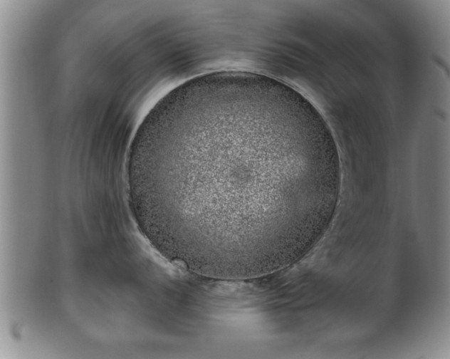X0000102361056200808081126