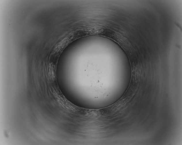 X0000102361058200808081125