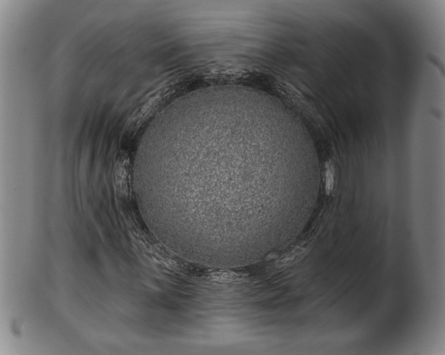 X0000102361059200808081125