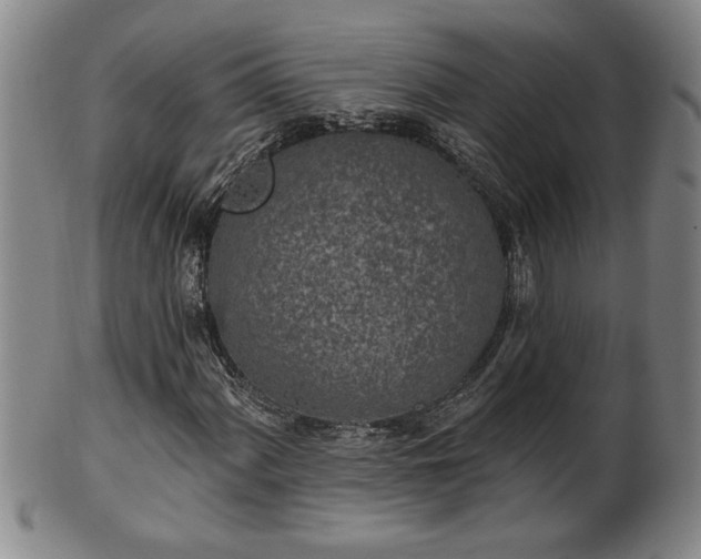 X0000102361060200808081125