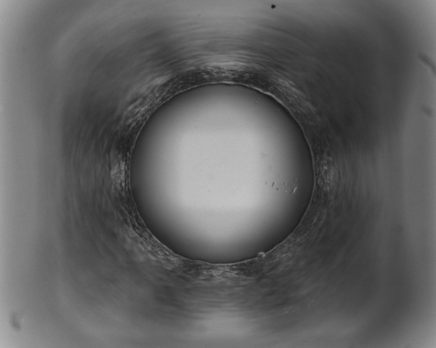 X0000102361061200808081125