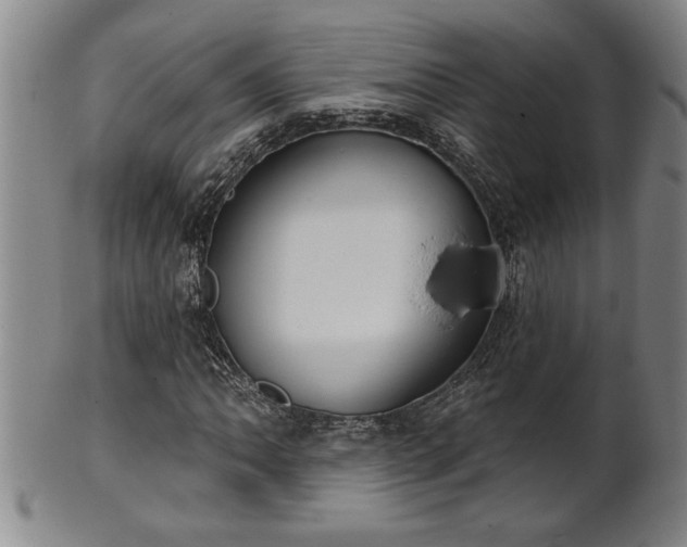 X0000102361062200808081125