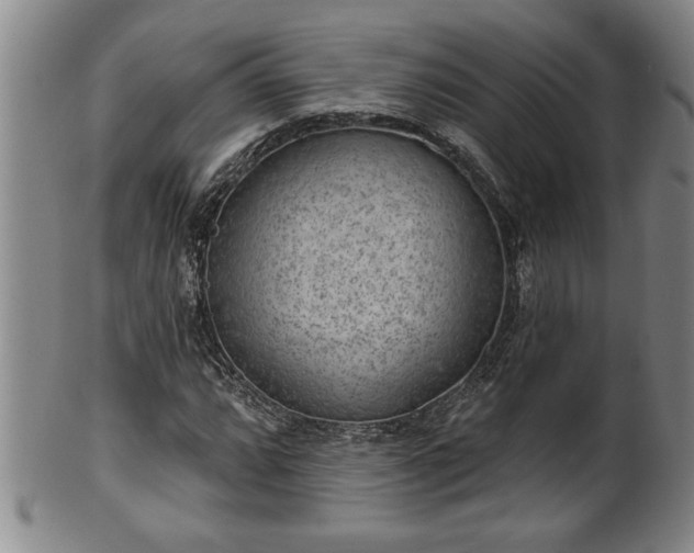 X0000102361064200808081125