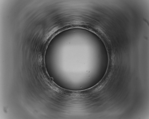 X0000102361065200808081125