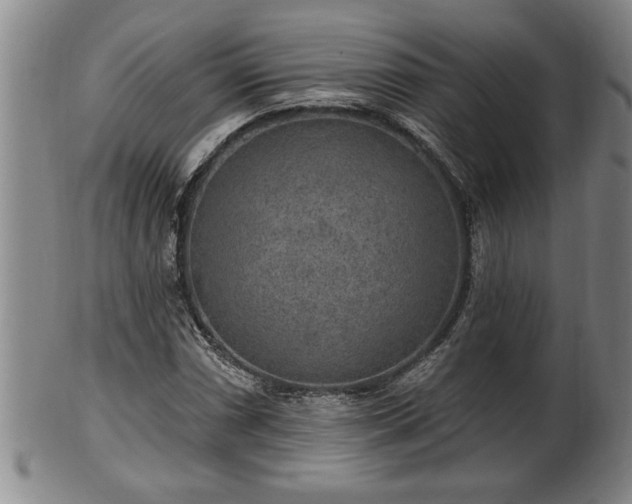 X0000102361066200808081125