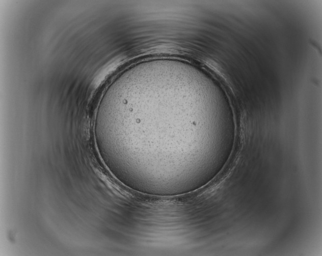 X0000102361067200808081125