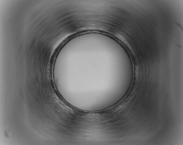 X0000102361068200808081125