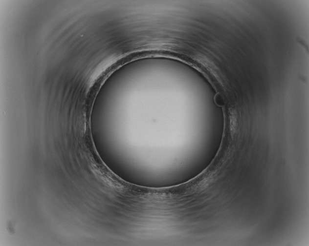 X0000102361069200808081125