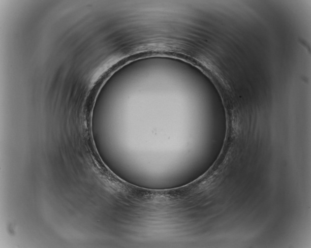 X0000102361070200808081125